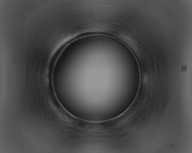 X0000091520676200708311249