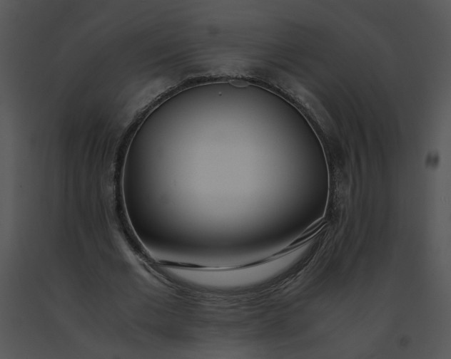 X0000091520677200708311249