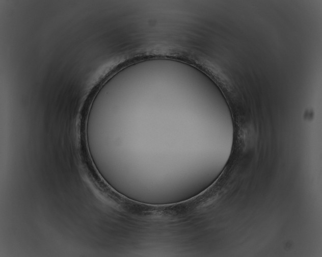 X0000091520678200708311249