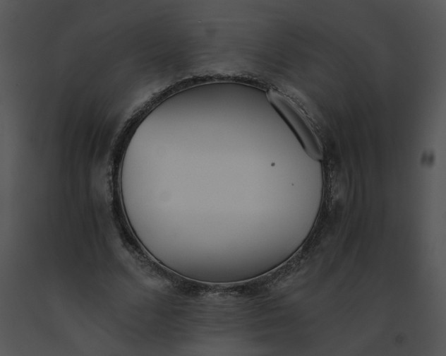 X0000091520680200708311249