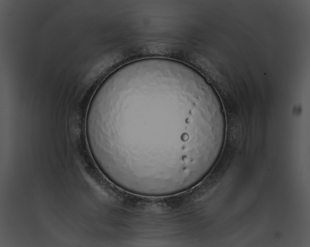 X0000091520683200708311249