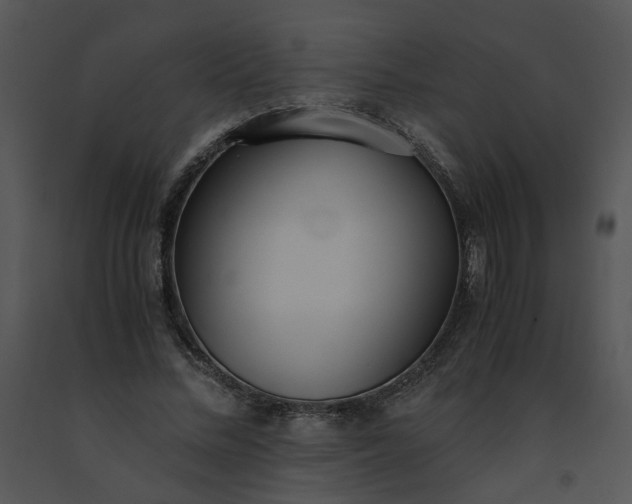 X0000091520684200708311249