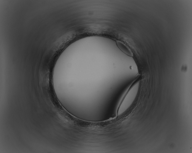 X0000091520685200708311249