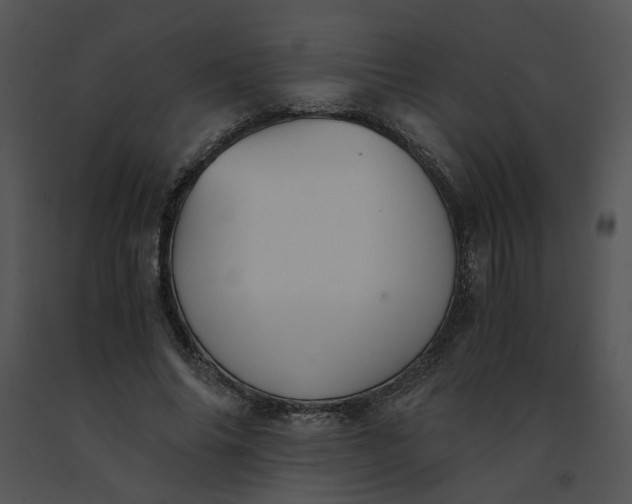 X0000091520686200708311249