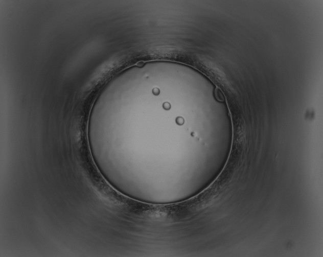 X0000091520687200708311249