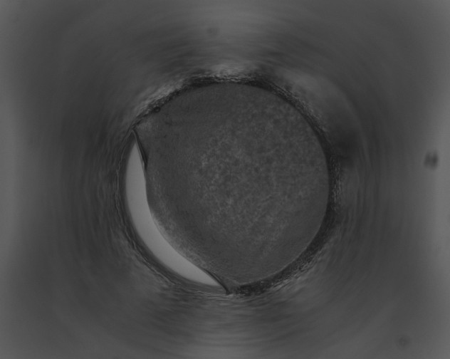 X0000091520689200708311249