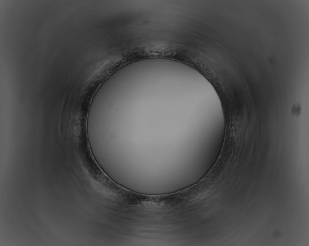 X0000091520690200708311249