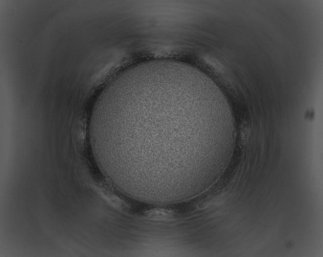 X0000091520691200708311249