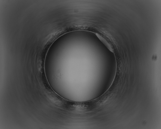 X0000091520693200708311249