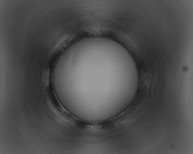 X0000091520694200708311249