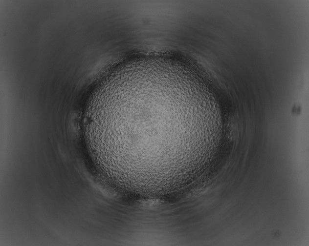 X0000091520695200708311249