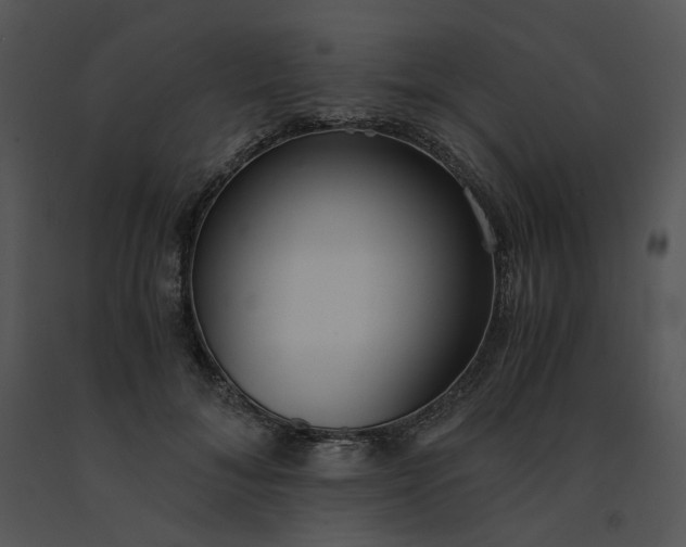 X0000091520700200708311249