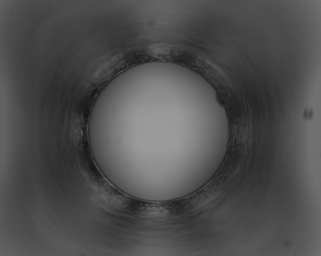 X0000091520702200708311249