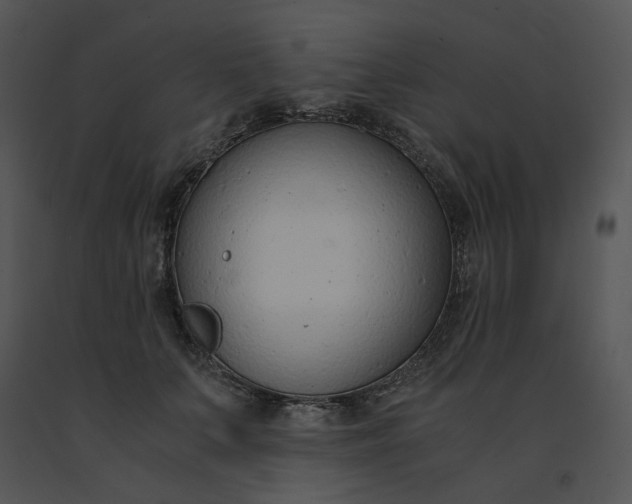 X0000091520703200708311249