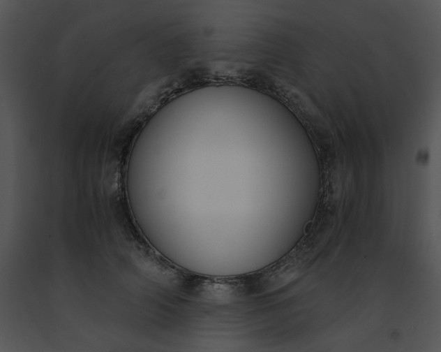 X0000091520706200708311249