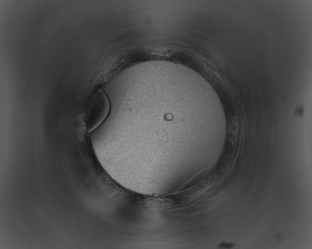 X0000091520707200708311249