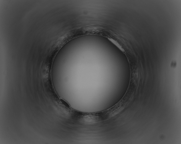 X0000091520708200708311249