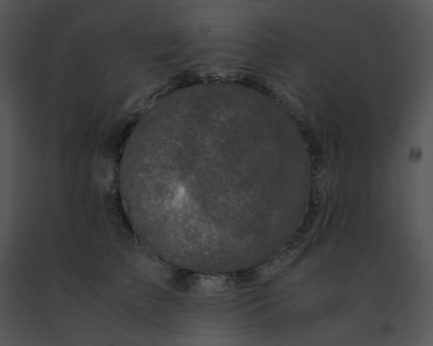 X0000091520709200708311249