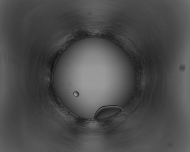 X0000091520710200708311249