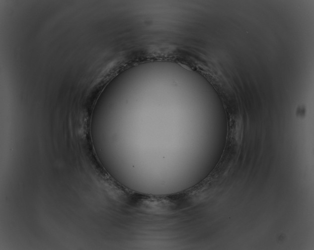 X0000091520712200708311249