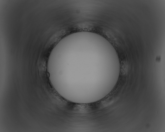 X0000091520713200708311249