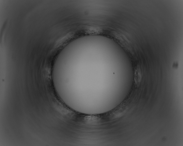 X0000091520714200708311249