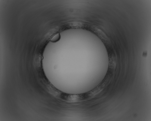 X0000091520717200708311248