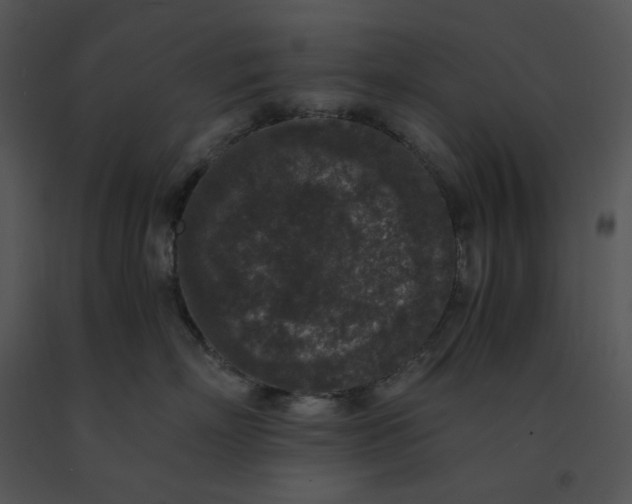 X0000091520718200708311248