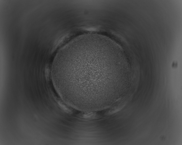 X0000091520720200708311248