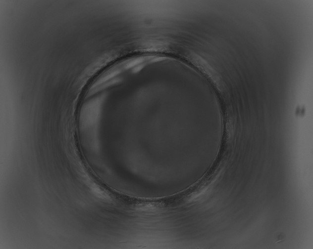 X0000091520721200708311248