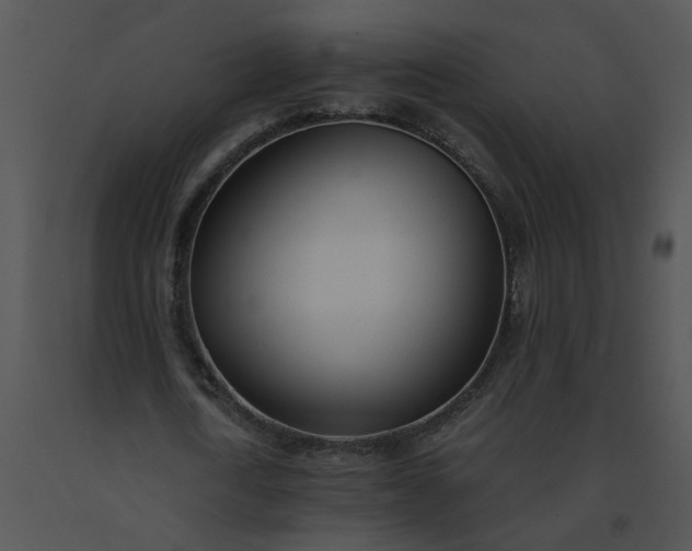 X0000091520722200708311248