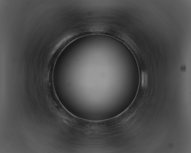 X0000091520723200708311248