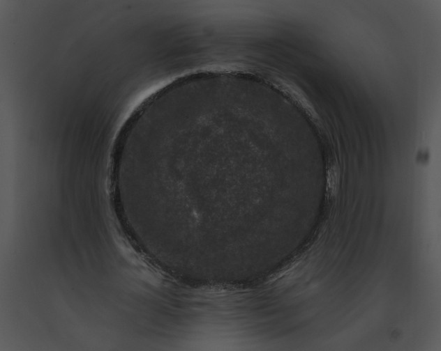 X0000091520724200708311248