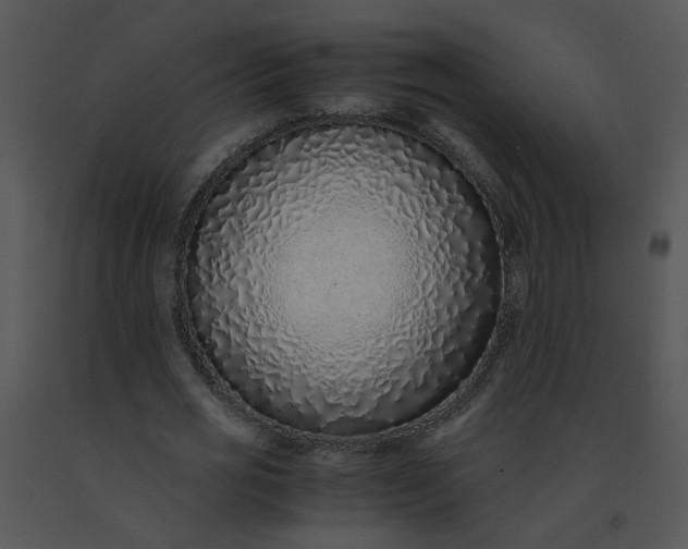 X0000091520725200708311248