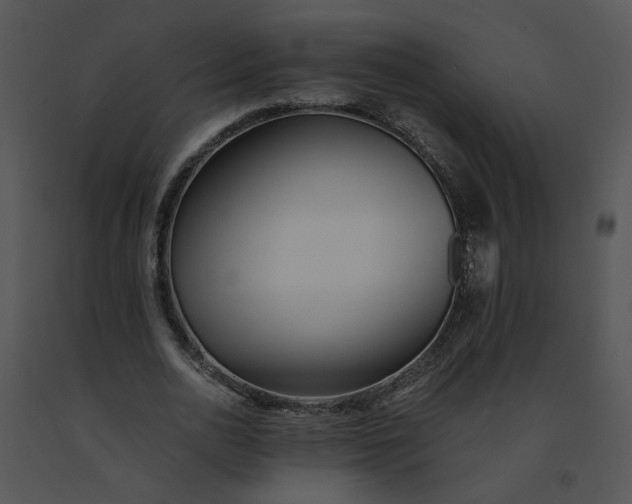 X0000091520726200708311248