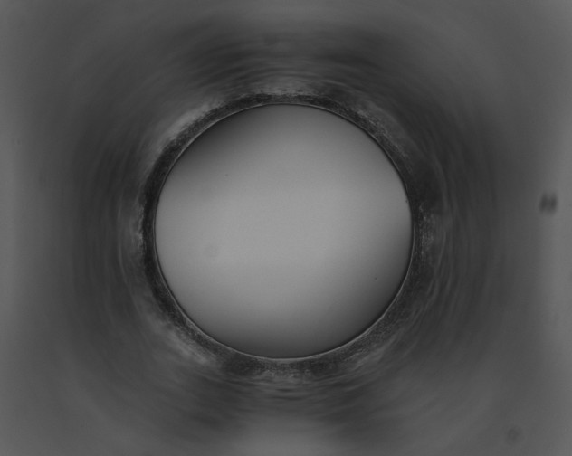 X0000091520727200708311248