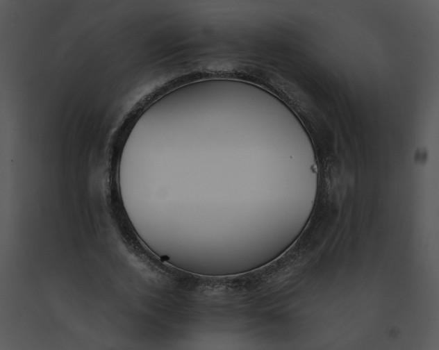 X0000091520728200708311248