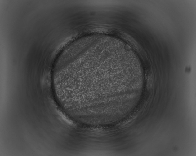 X0000091520729200708311248