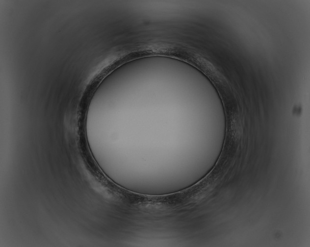 X0000091520730200708311248