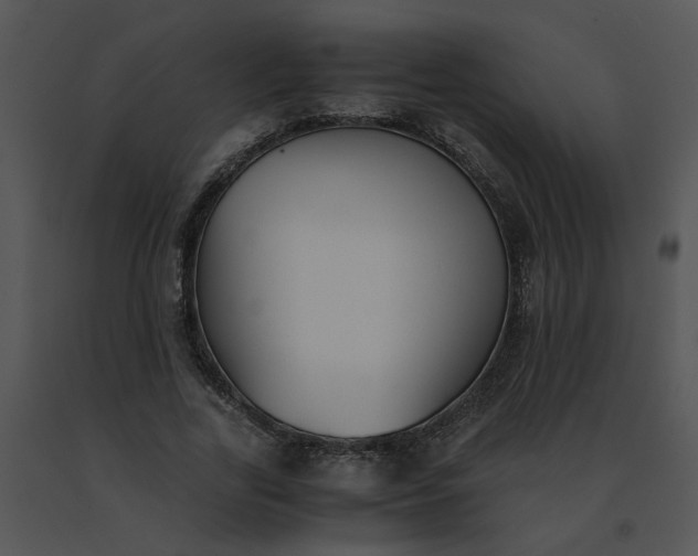 X0000091520731200708311248