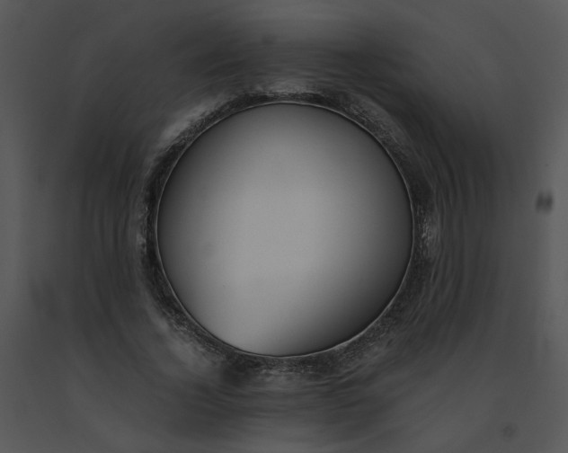 X0000091520732200708311248