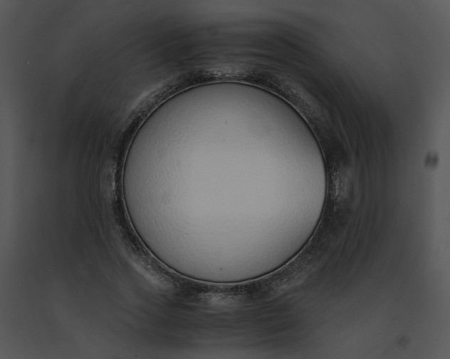 X0000091520733200708311248