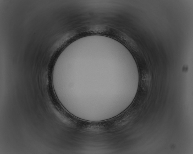 X0000091520734200708311248