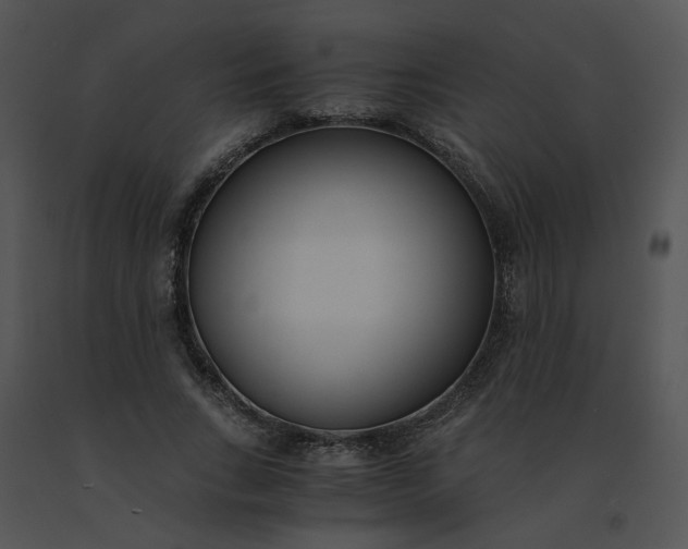 X0000091520735200708311248