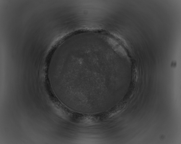 X0000091520736200708311248