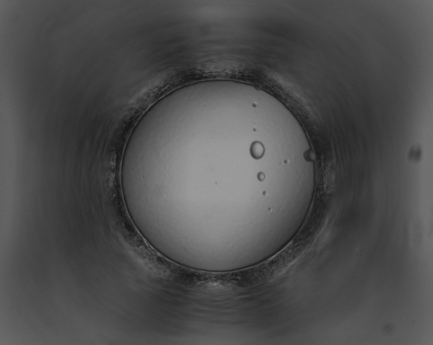 X0000091520737200708311248