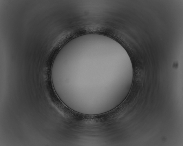 X0000091520738200708311248