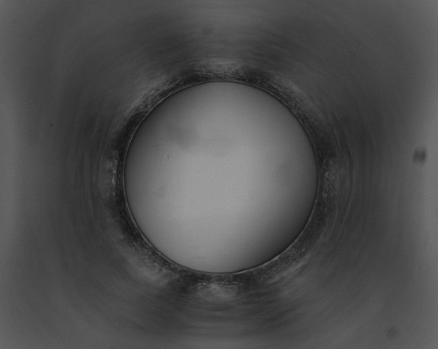 X0000091520739200708311248