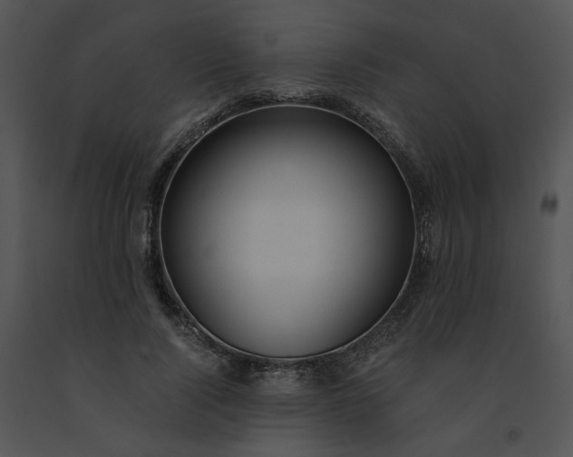 X0000091520740200708311248