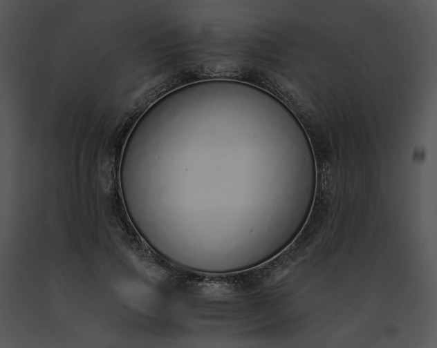 X0000091520741200708311248